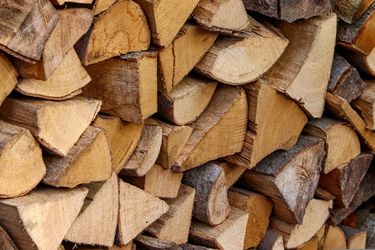 manfredrichter wood 4582299